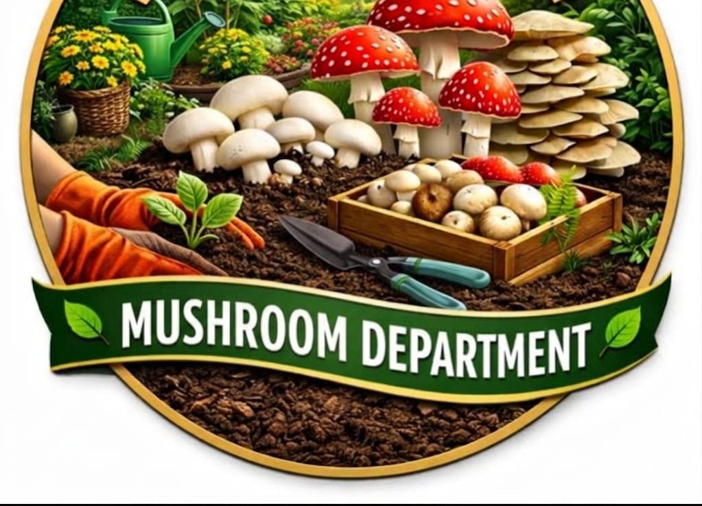 Mushroom Farming